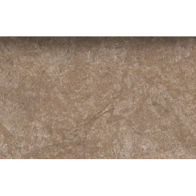 60229 DYNASTY FOREST 40*60 0