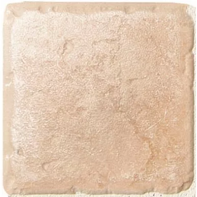 1012743 Rosa Chiampo 10x10 0
