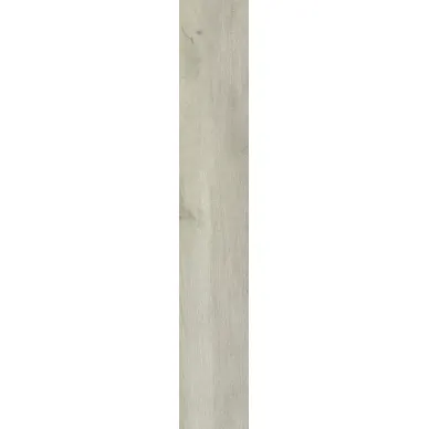 Tammi Bianco 19,4х120 0