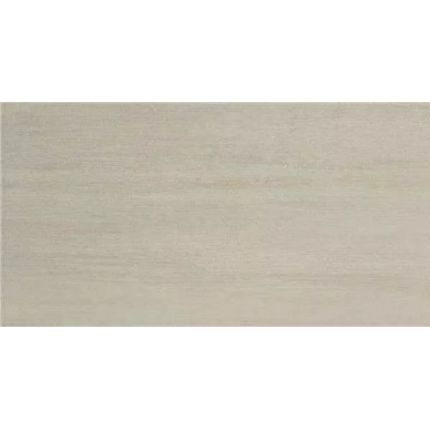 EVOLVE BEIGE MT RECT. 60x120 0