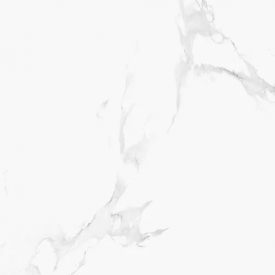 BELLA BIANCO BRILLO 100х100 0