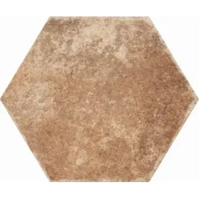 Pompeia Marron 20х24 0
