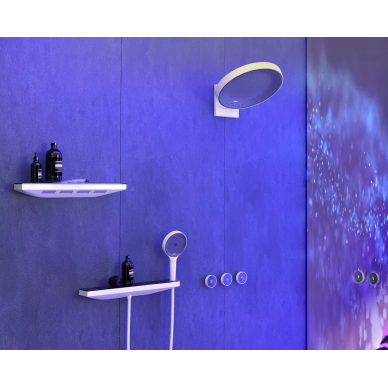Верхний душ Hansgrohe Rainfinity (26243700) 9