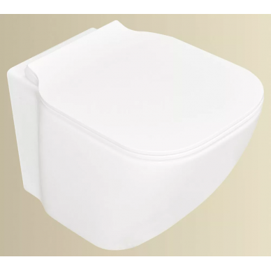 Чаша подвесного унитаза BelBagno Aldina (BB114CH) безободковый 6