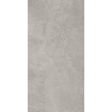 Bayona Silver Pulido 120x240 0