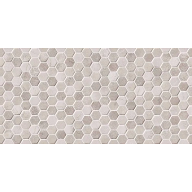 Termae Concept White 25x50 0