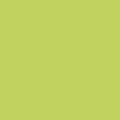 Gamma Seledynowa Polys 19.8x19.8 0