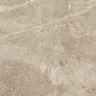 Obsidian Taupe Полированный 60x60 0