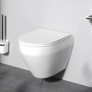 Чаша подвесного унитаза Am.Pm Spirit V2.0 FlashClean (C701700MWSC) безободковый, с микролифтом (белый матовый) 9