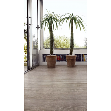 Selection Oak 5