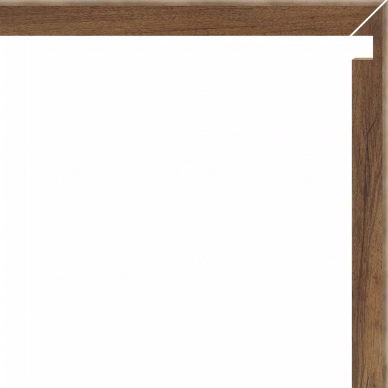 73073 Battiscala Dx Walnut 4,8x60 0