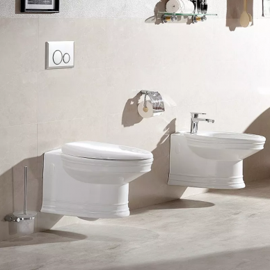 Биде подвесное СeramaLux Lux Classic (2031) 1