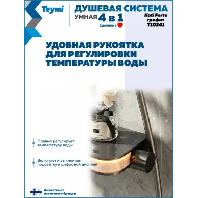 Душевая система Teymi Kati Forte T10241 с умным смесителем, графит 9